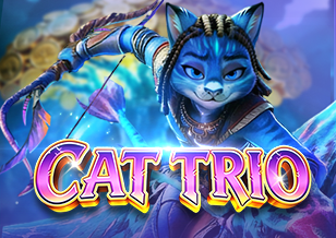 Cat Trio